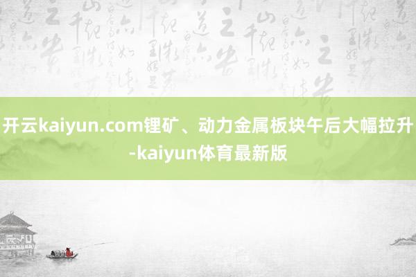 开云kaiyun.com锂矿、动力金属板块午后大幅拉升-kaiyun体育最新版