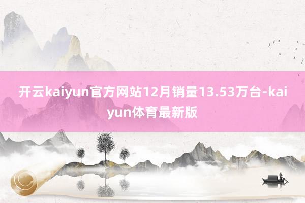 开云kaiyun官方网站12月销量13.53万台-kaiyun体育最新版